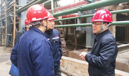 王大真到雙環(huán)公司現場調研并組織召開干部大會(圖1)