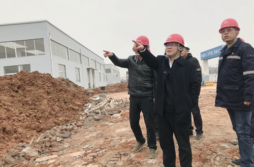 王大真到新材料公司、TPO項(xiàng)目現(xiàn)場和股份公司檢查工作(圖2)