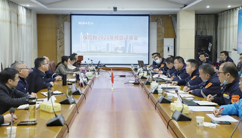 王大真到新材料公司、TPO項(xiàng)目現(xiàn)場和股份公司檢查工作(圖3)