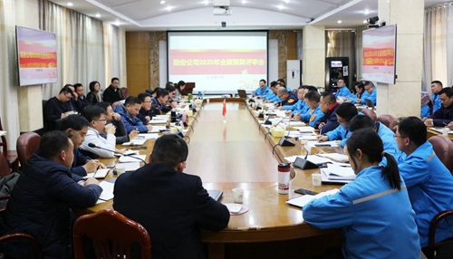 王大真調(diào)研指導(dǎo)股份公司、化機(jī)公司和TMP新項(xiàng)目2020年財(cái)務(wù)預(yù)算工作