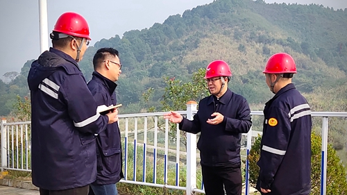 王大真到松滋肥業(yè)、楚星公司、新材料公司和股份公司現(xiàn)場(chǎng)調(diào)研