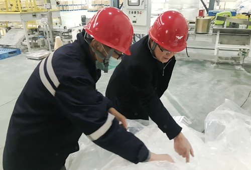 王大真到新材料公司、TPO項(xiàng)目現(xiàn)場和股份公司檢查工作